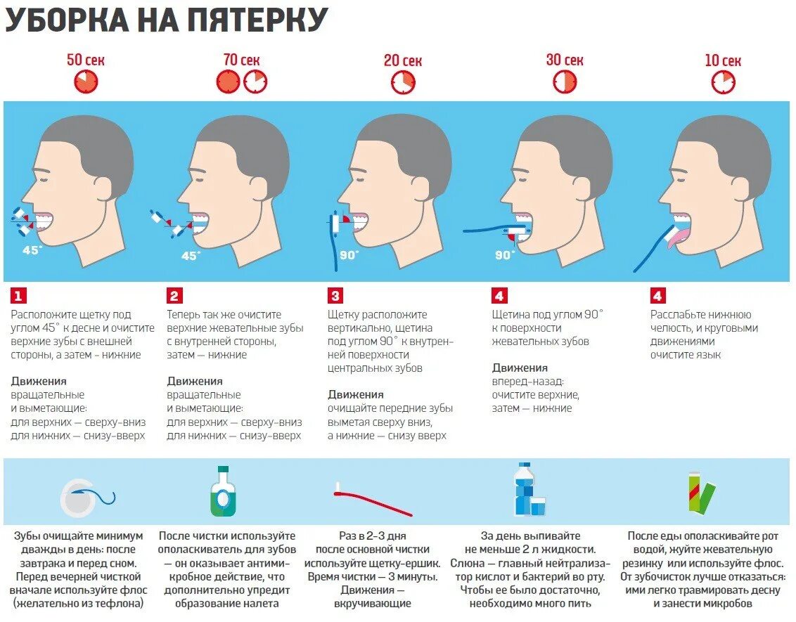 Начинают болеть зубы когда ложусь. Зубы инфографика. лечение кариеса инфографика. инфографика как чистить зубы.