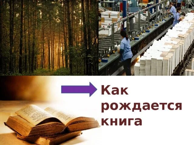 Как рождается книга. Как рождается книга картинки. Доклад как рождается книга. Как делают книги. О том как делают книги