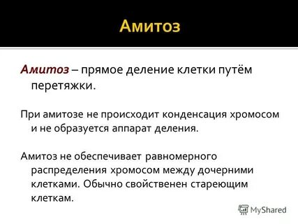 Амитоз это