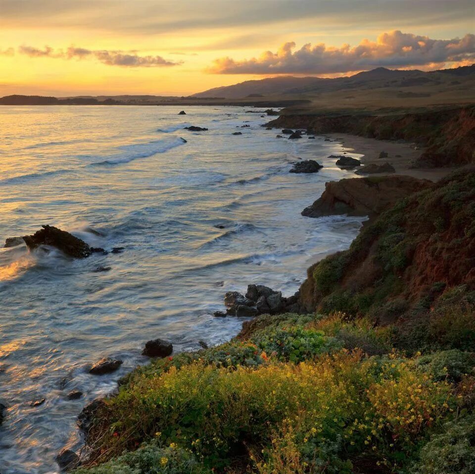 Coast country. Камбрия Калифорния. Кэмбриа, Калифорния, США. Камбрия Калифорния лунное побережье. Калифорния побережье Тихого.