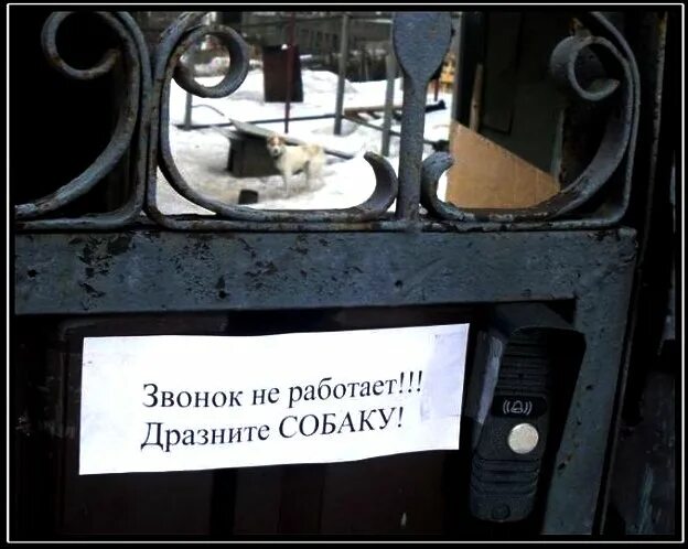 Звонок не работает дразните собаку. Табличка не дразните собаку. Табличка дразнить собак. Звонок не работает. Песни не позвонила не открыла