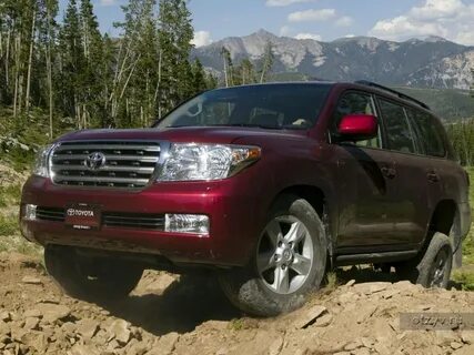 Авито land cruiser