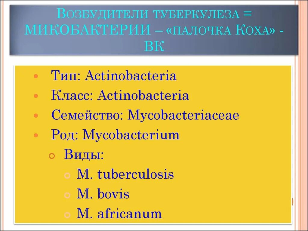 Род туберкулеза