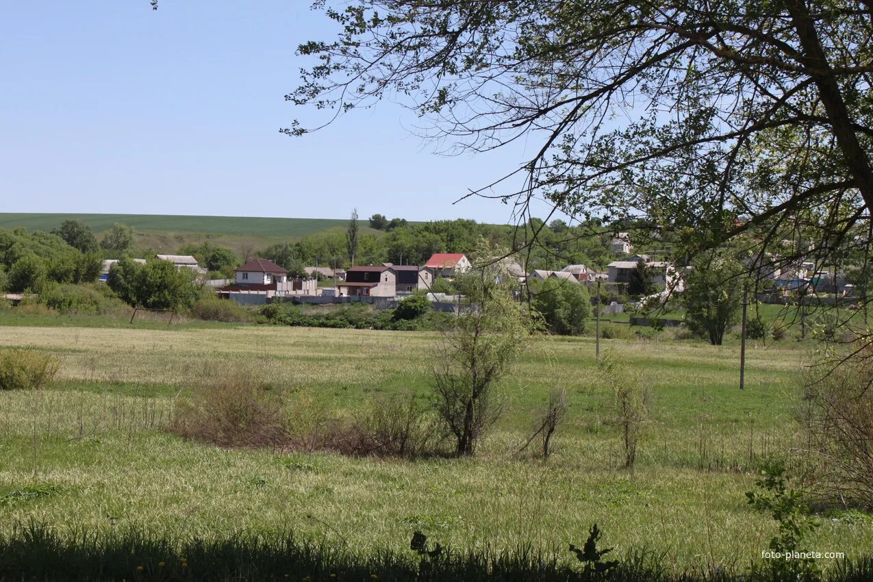 Новости никольского белгородской. Деревня Никольское Шаховского района. Никольское Московская область Шаховской район. Цыпарк Никольское.