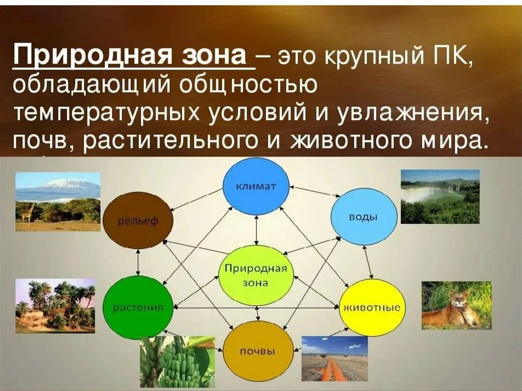 Природные зоны. Природные зоны земли. Презентация на тему природные зоны. Географические природные зоны.