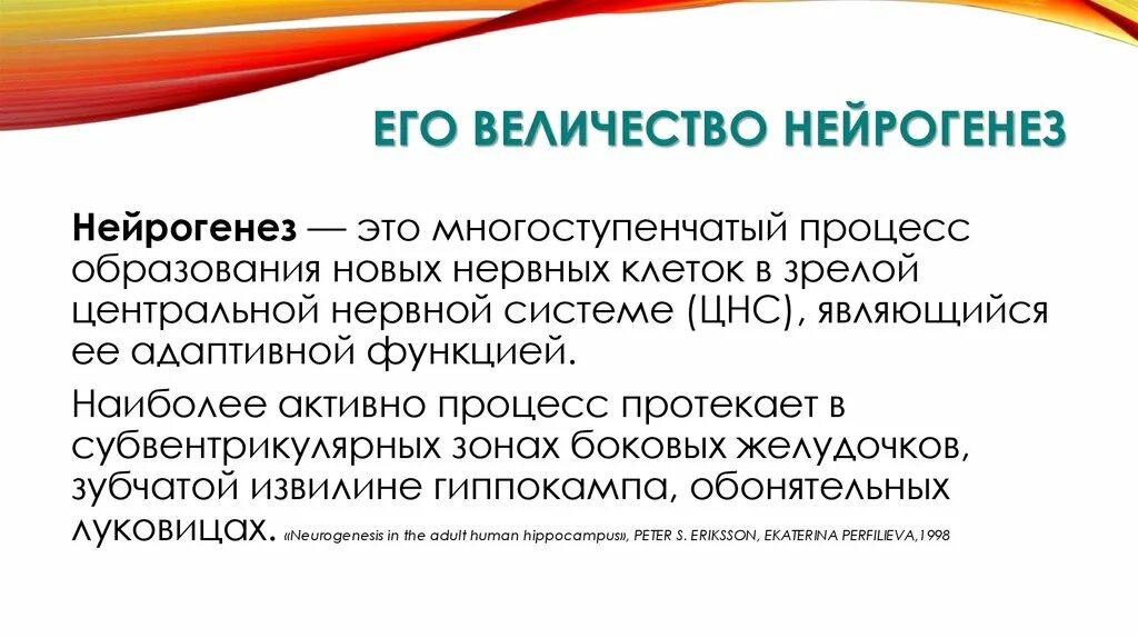 Зубчатая извилина гиппокампа. Нейрогенез как адаптивная функция. Этапы нейрогенеза. Нейрогенез это. Адаптивная функция мозга.