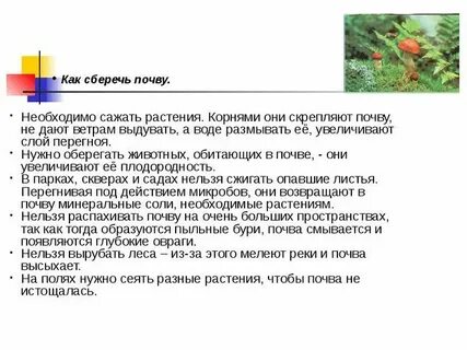 Как сохранить грунт