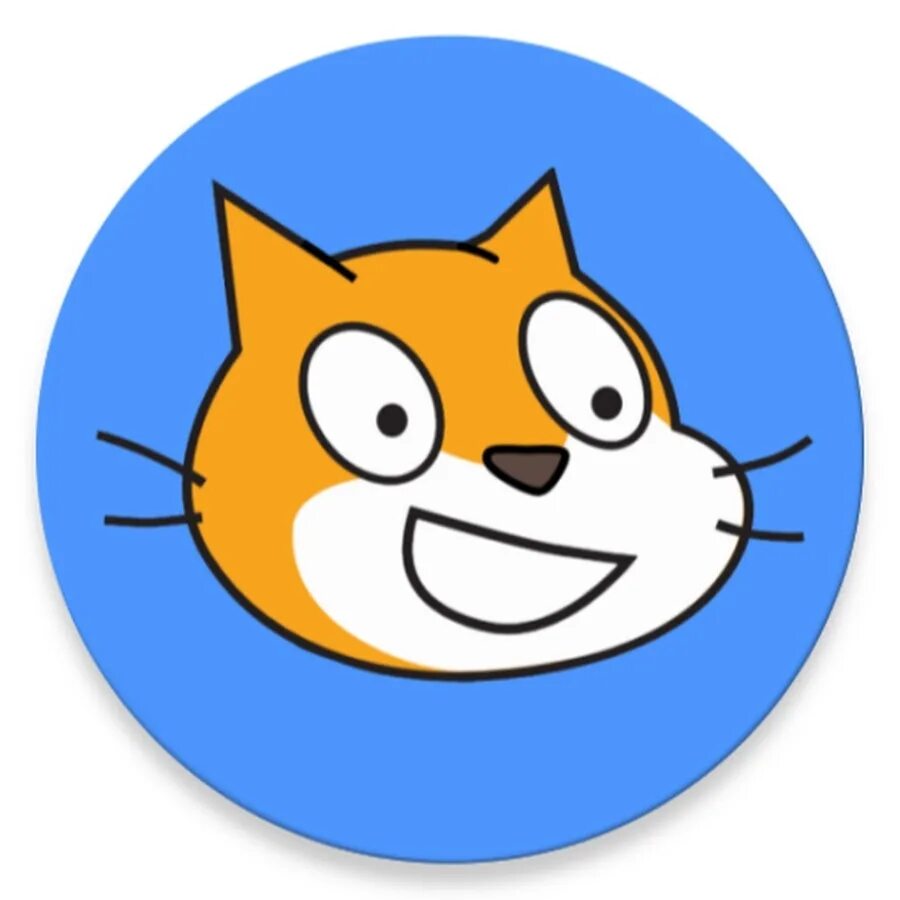 Scratch рыжий кот. Scratch. логотип scratch. scratch кот. скретч иконка.