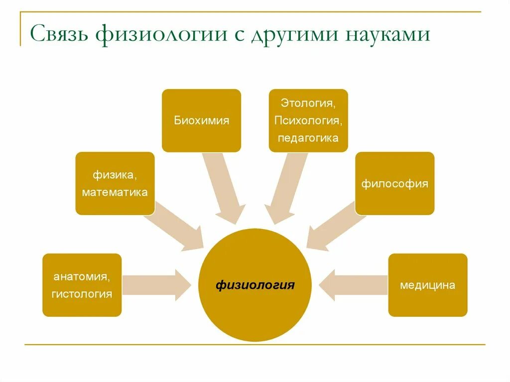 Связь афазиологии с другими науками. Взаимосвязь возрастной физиологии с другими науками. Предмет задачи и методы возрастной анатомии. Связь физиологии с другими науками. Как писать реферат по анатомии.