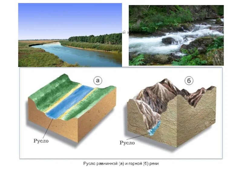 Географические реки. Реки 6 класс. Реки география 6. Реки в природе и на географических картах.