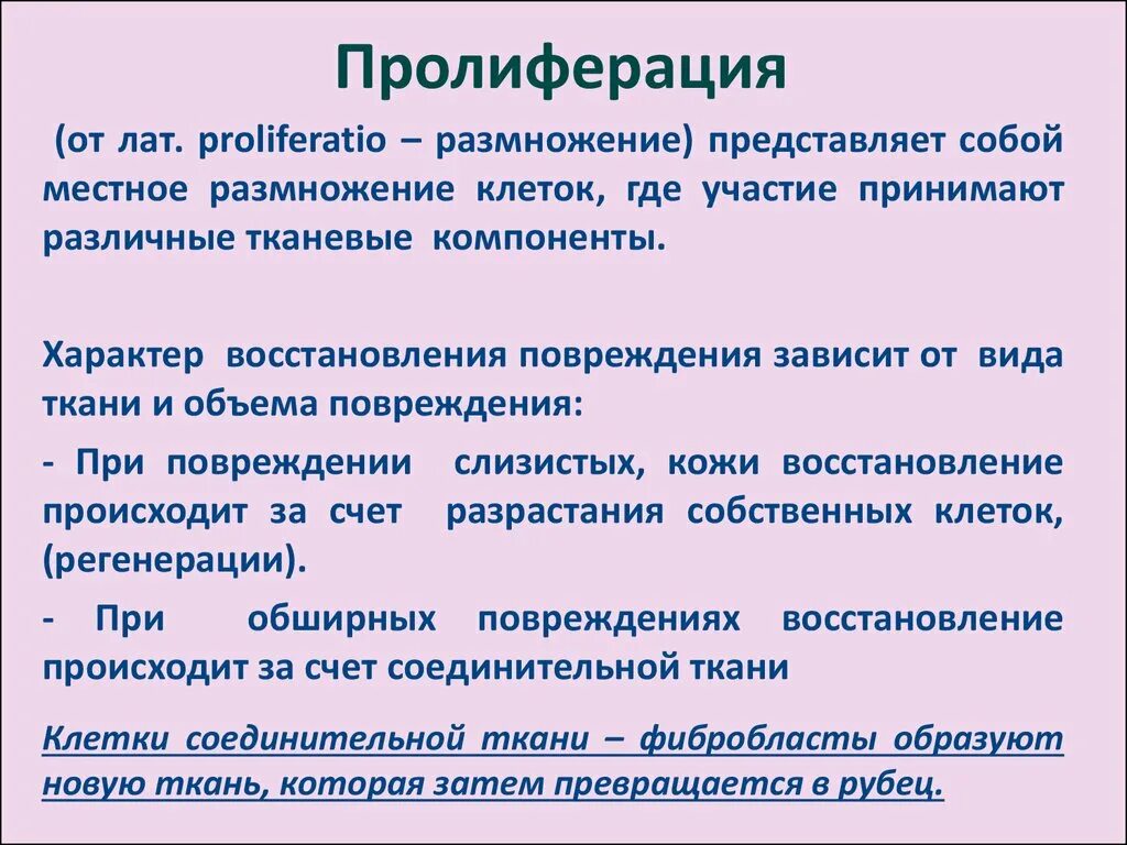 Пролиферация это простыми словами. Пролиферация. Пролиферация клеток. Типы клеточной пролиферации. Пролиферация это в патологии.