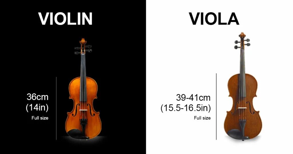 Виола струнные смычковые. Viola and Violin. Виола скрипка разница. Виола струнные смычковые музыкальные инструменты. Viola перевод песни