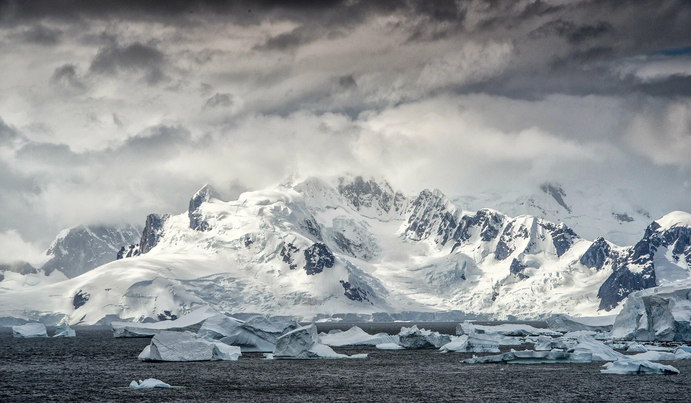 Монстры антарктида крионы. Динозавры морские плезиозавр. Кремниевые существа на земле. Морские динозавры ихтиозавр. Останки динозавров в антарктиде.