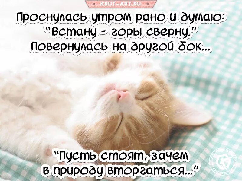 Доброе утро давай вставай. Проснулись доброе утро. Проснулись потянулись УЛЫБНУЛИСЬ С добрым. Я проснулась с добрым утром. Проснулись с добрым утром.