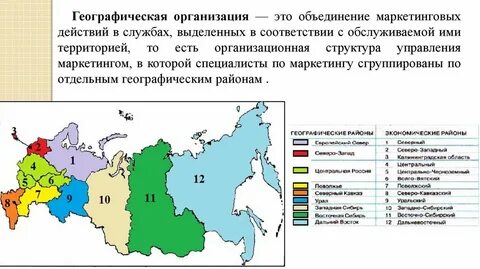 Какая географическая структура