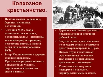 Середняки