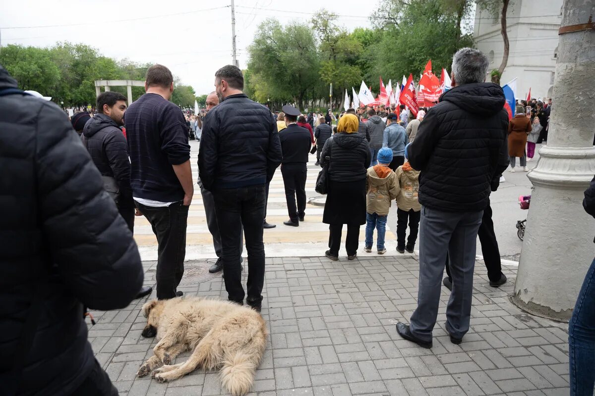 В астрахани задержали в день траура. Невлюдов Астраханский депутат. Невлюдов Астрахань ЭКОПРИЮТ.