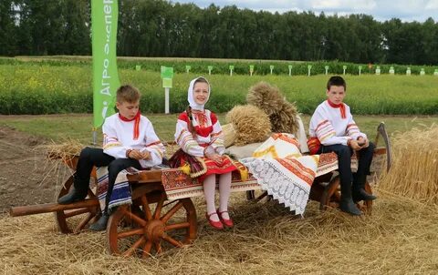Погода в лопуши