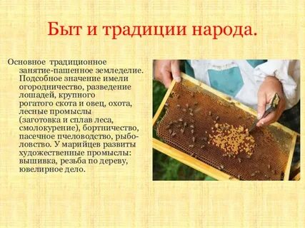 К традиционным занятиям народов какого