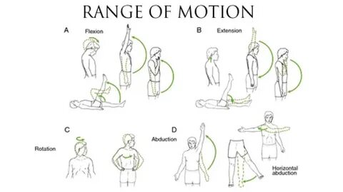 The art of motion test 1