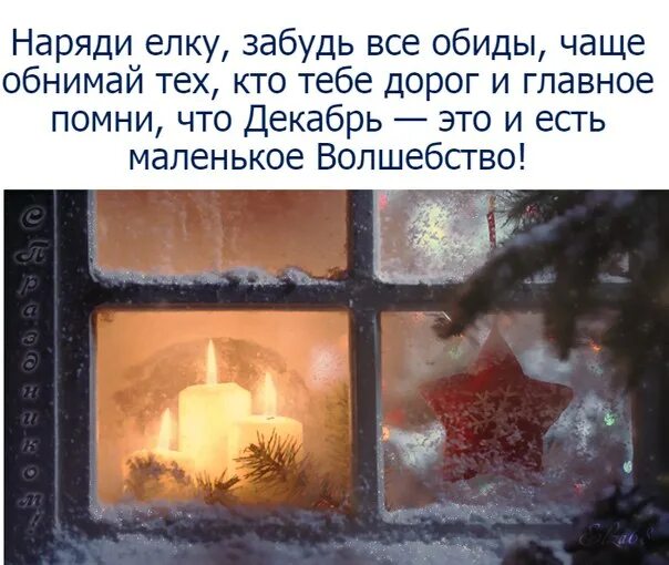 Пусть у каждого этой зимой. Наряди елку забудь обиды. Антикошачья елка. Елка не забывай. Елка не забывай.