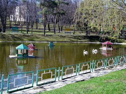 Шиханы саратовская область
