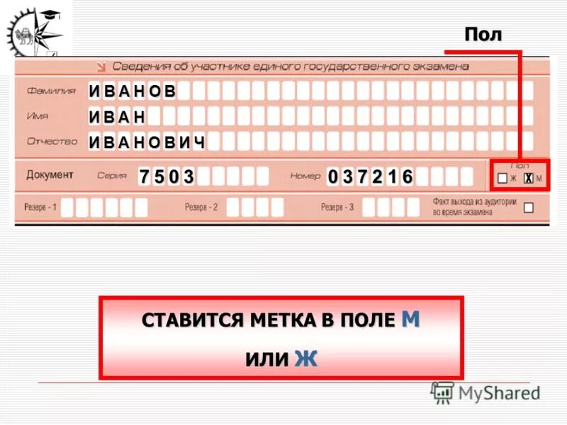 Код пол. Презентация на тему бланки. экзаменационные цифры. вертикальная регистрация. не заполненные или незаполненные.