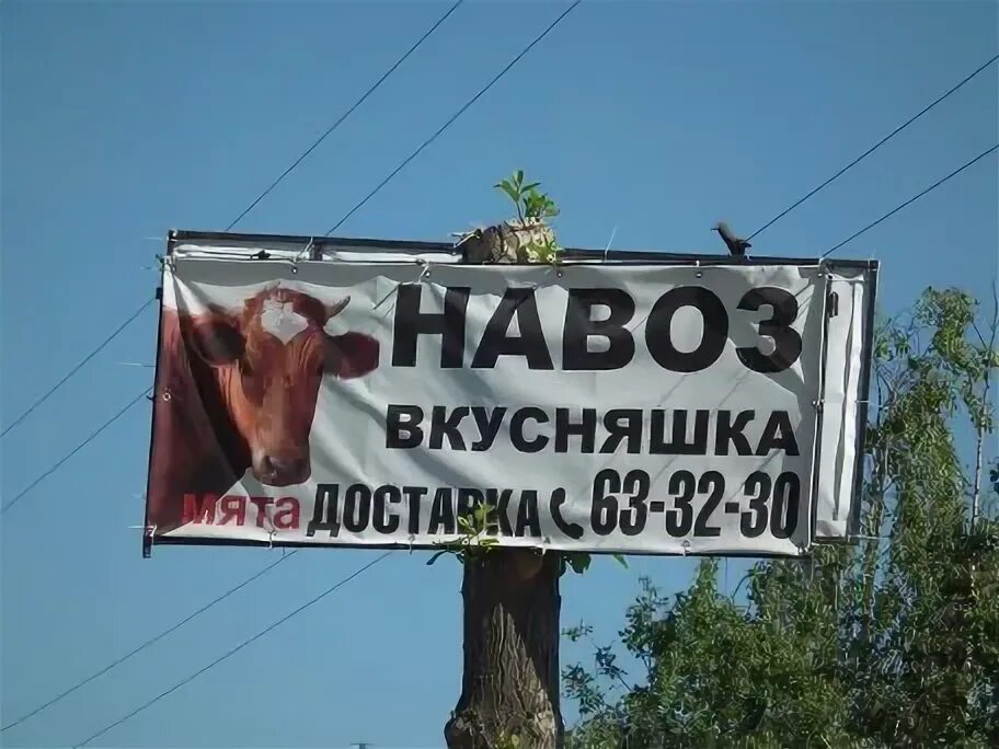 Курнул но вроде не навоз как называется. Реклама навоза. Навоз вкусняшка. Реклама навоз вкусняшка. Прикольная реклама навоза.