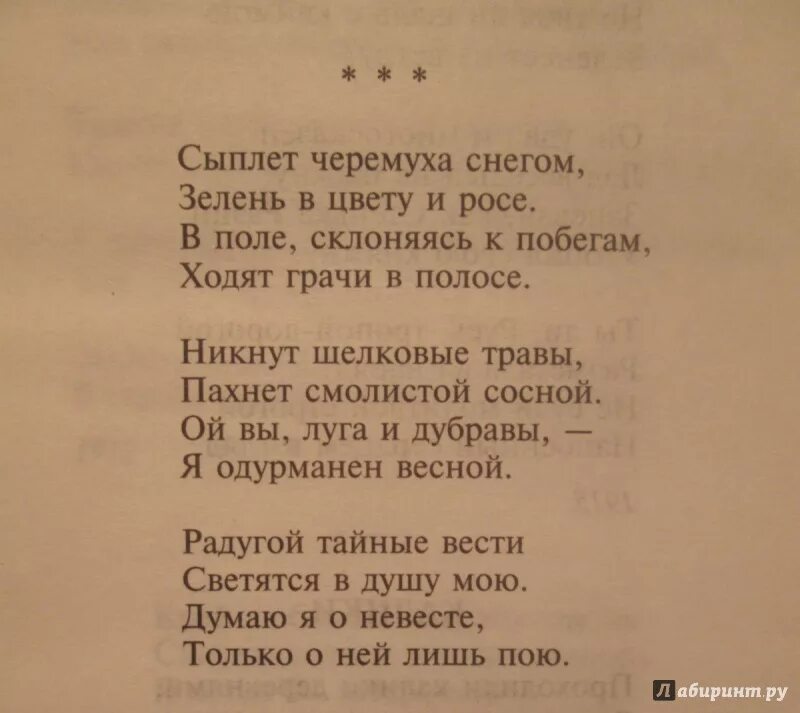 Стихотворение есенина сыплет. Стих сыплет черемуха снегом Есенин. Стихотворение Есенина сыплет черемуха снегом. Стих Есенина сыплет черемуха. Стихотворение сыплет черемуха снегом Есенин.