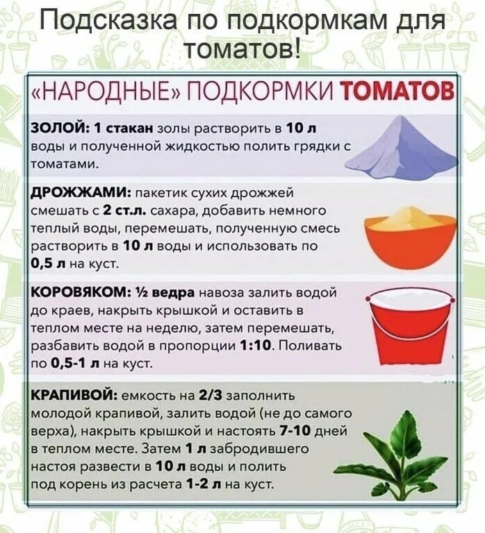 Сколько надо настаивать золу. Зола раствор для подкормки растений. Раствор древесной золы. Раствор древесной золы. Сколько надо настаивать золу.