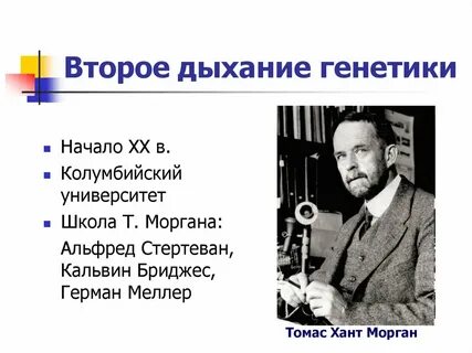 Генетика начало