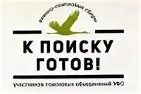 Ищу готова