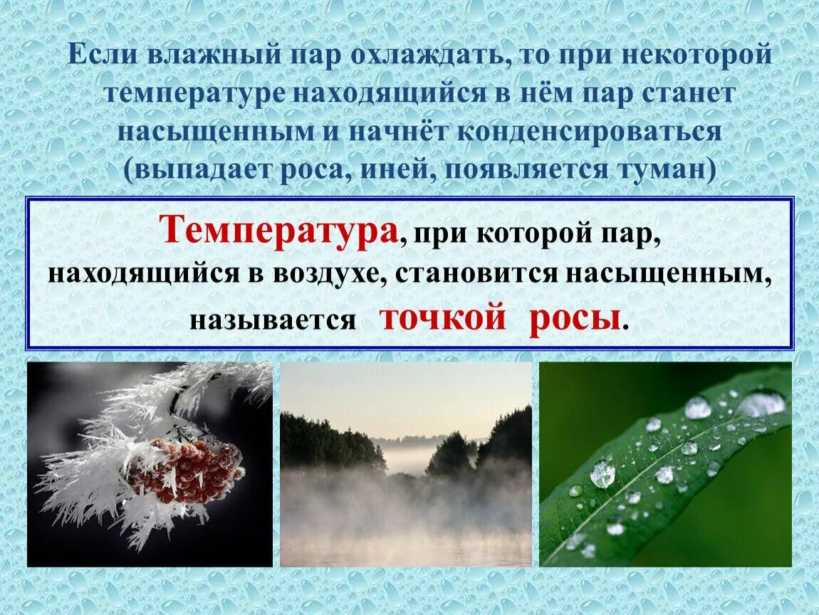 Температура при которой пар становится насыщенным называется. Влажность воздуха презентация. Явления влажности воздуха величины. Презентация на тему влажность воздуха. Почему выпала роса