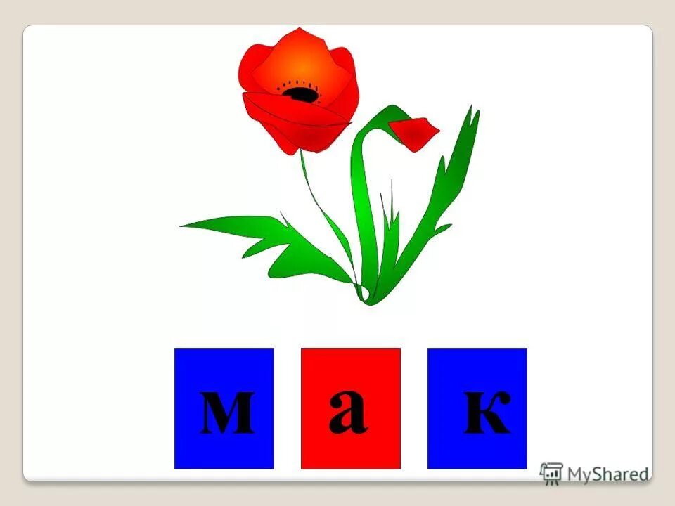 Мак разборы. Карточки для звукового анализа мак. Выполни звуковой анализ слов. Звуковой анализ слова мак для дошкольников. Мак самосейка левкой седой.