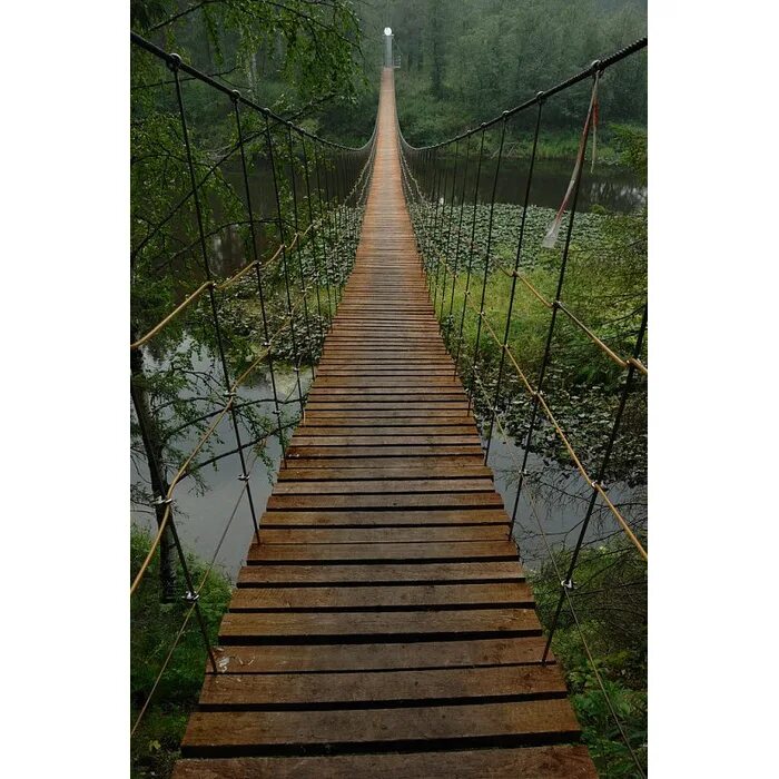 Оленьи ручьи природный парк фото Парк Оленьи Ручьи. Река Серьга. Автор фото Анна Иванова 2023 Самые красивые реки