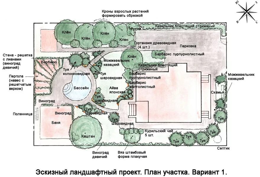 Огород по сторонам света. Схема посадки плодовых деревьев на участке 10 соток. Планировка участка 10 соток схема. Планировка дачного участка 6 соток схемы. Планировка участка 6 соток с уклоном схема.