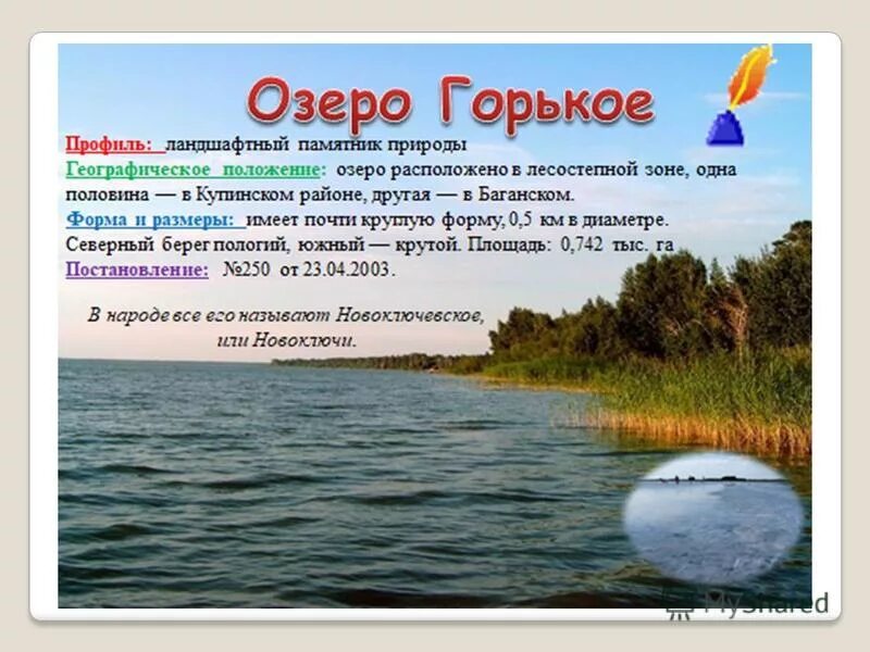 Озеро горькое. Озеро горькое Новосибирская область. Водоёмы Новосибирской области. Озеро горькое Курганская область.