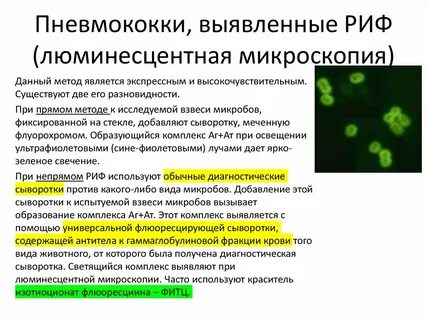 Антитела к микобактериям туберкулеза