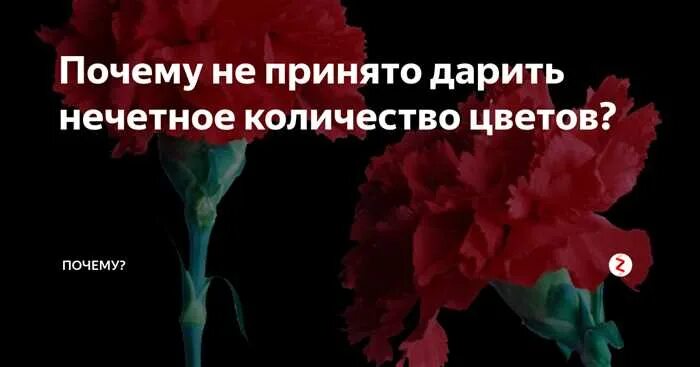 нечетные четырехзначные числа. все четные четырехзначные числа. сколько всего существует существует цифры. числа делятся на две группы. сколько существует четырехзначных чисел.