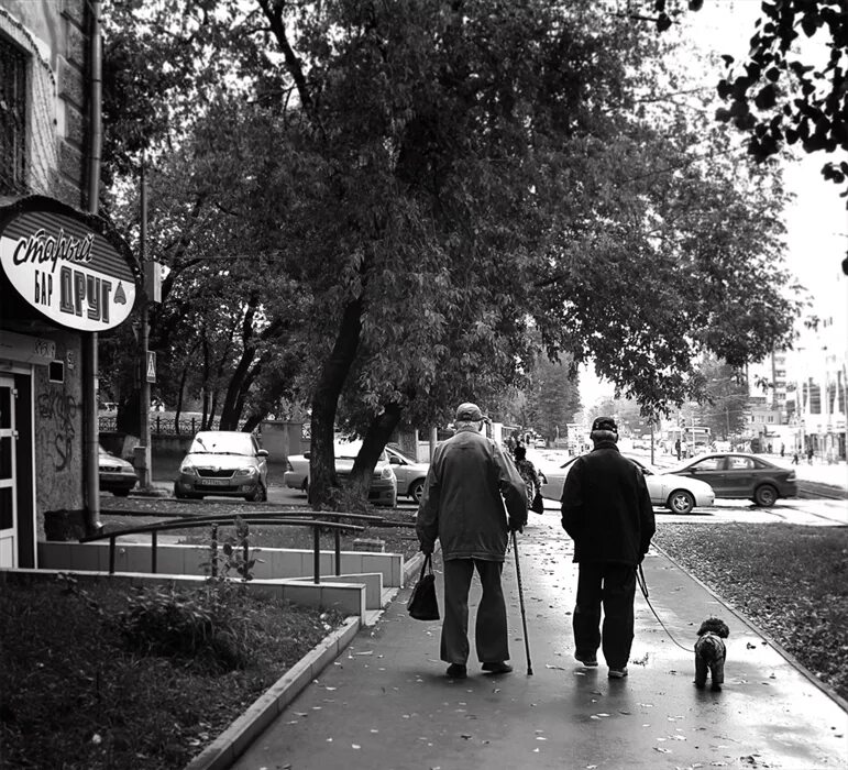 Сайт старые друзья. Старинные друзья. Старые друзья картинки. Старый дружок. Лучшие друзья старые.