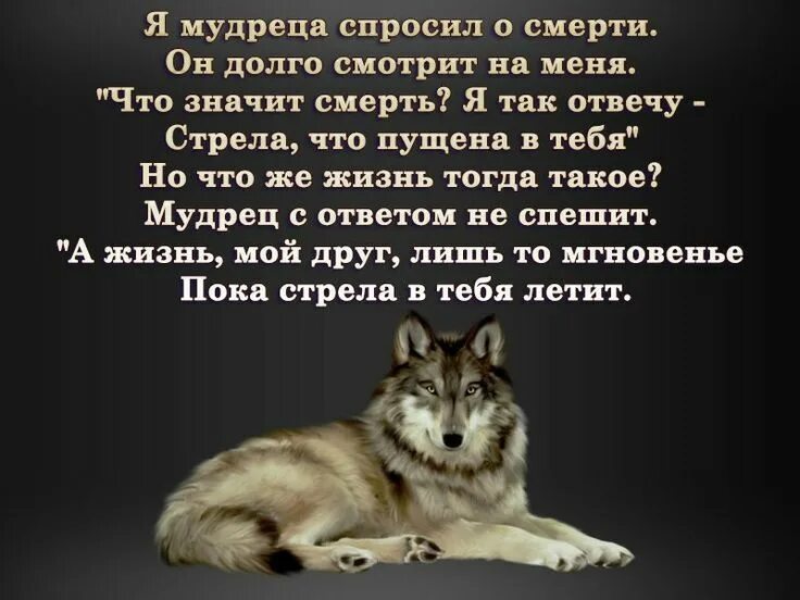 Жить не спрашивая почему. Цитаты про смерть. Цитаты про жизнь и смерть. Цитаты о жизни и смерти со смыслом. Цитаты про смерть со смыслом.