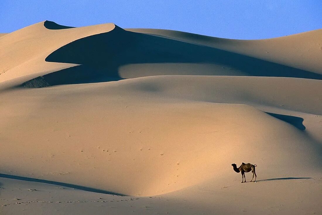 Гоби это пустыня. Монголия Гоби. Пустыня Такла Макан. Монгольская пустыня Гоби. Пустыня Гоби климат.