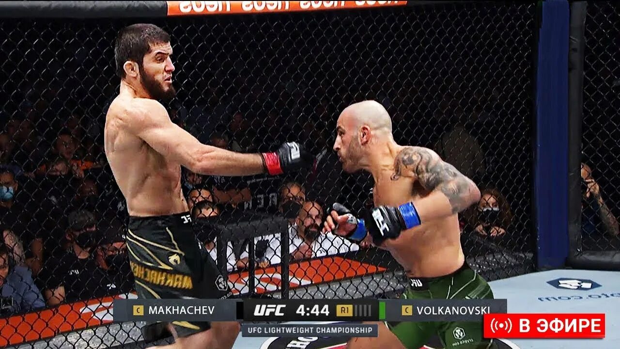 UFC 284 Махачев Волкановски. Бой Алекс Волкановски и Махачев.