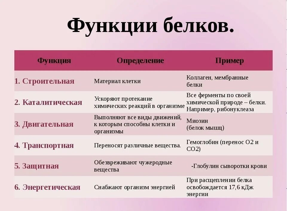 Какие функции выполняет двух. Перечислите основные биологические функции белков. перечислите и опишите функции белков в организме. перечислите основные функции белков в организме человека.. белки строение белков функции белков в организме.