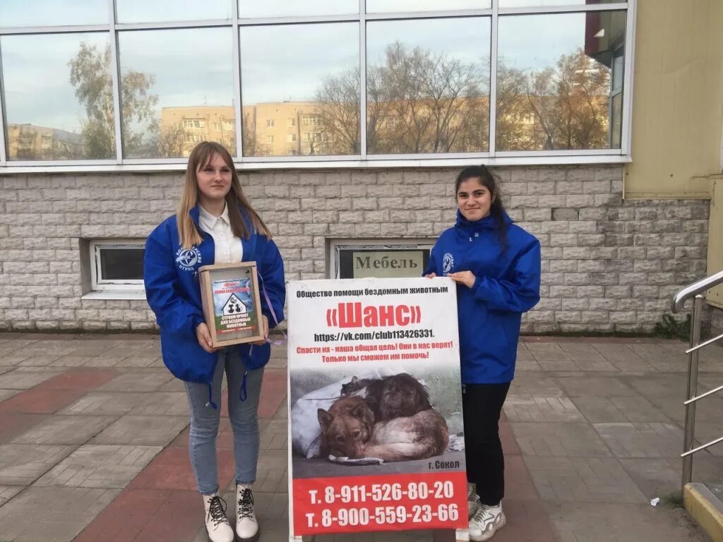 Номер телефона приюта для собак. Номер телефона волонтеров. Телефон волонтеров для животных. Волонтеры в приюте для животных. Бездомные животные волонтеры.