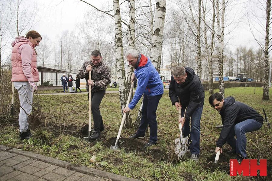 Посади дерево дружбы. Республиканский Субботни. Субботники 2022 в Беларуси. Республиканский субботник 2023. Республиканский субботник 29 апреля 2023.