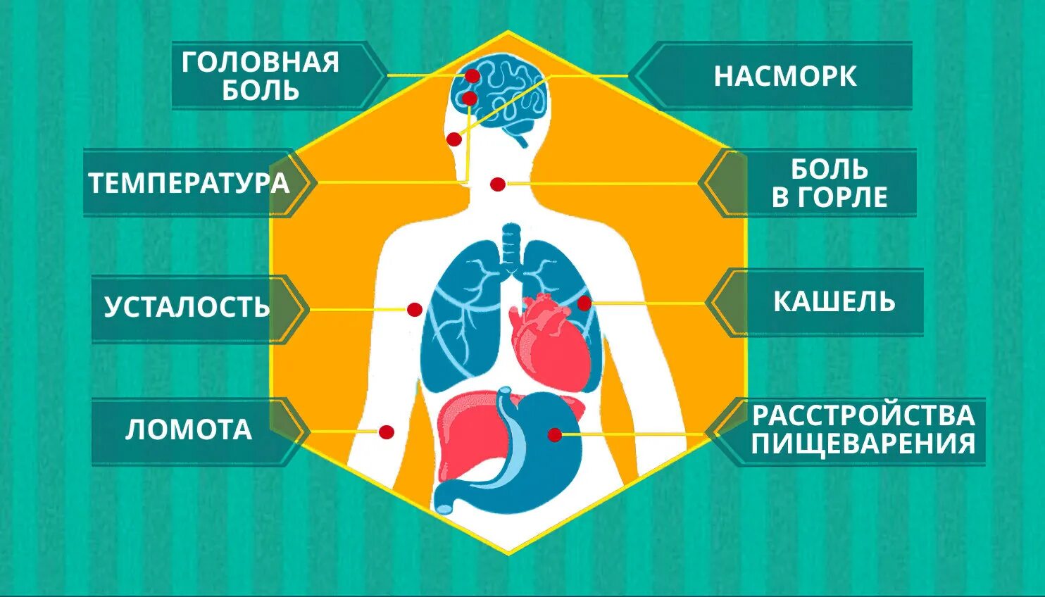 Признаки коронавируса. Признаки коронавируса у человека симптомы. Основные симптомы коронавируса у человека. Коронавирус симптомы.