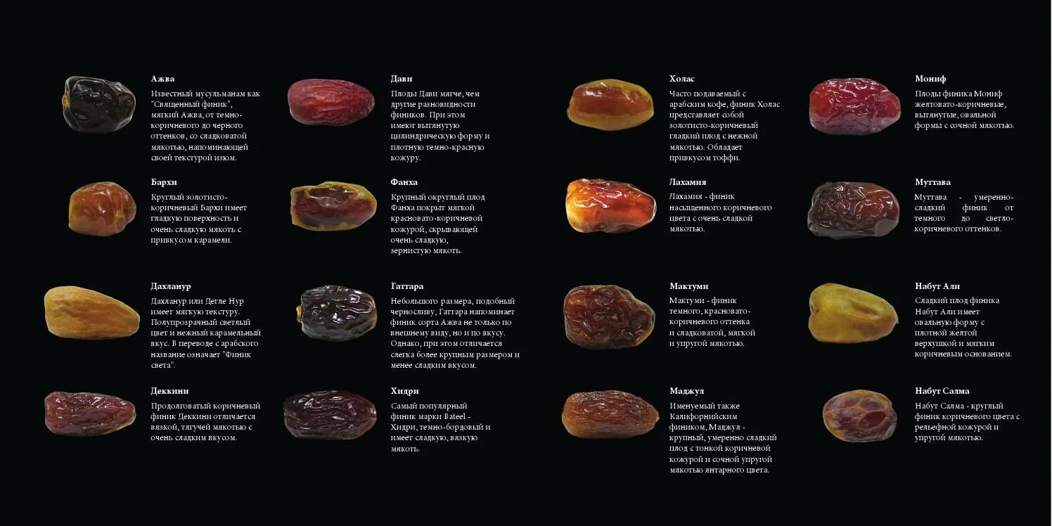 Финики. Финики полезные свойства. Полезные свойства фиников. Финики витамины и минералы. Финики.