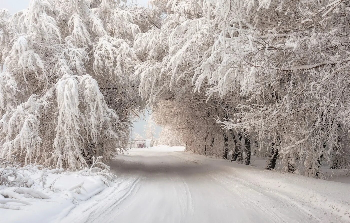 Фото снега