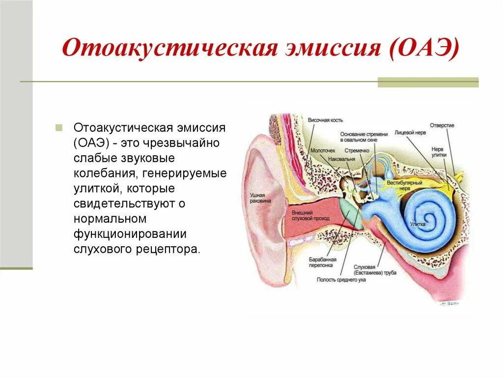 Эмиссия зарегистрирована. Эмиссия слуха акустическая. Отоакустическая эмиссия на частоте продукта искажения. Отоакустическая эмиссия (ОАЭ). Отоакустическая эмиссия исследование.